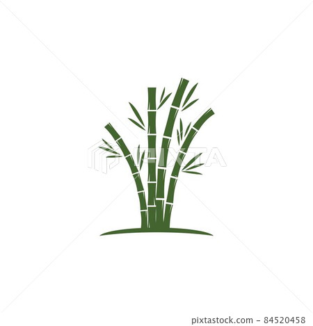 Bamboo with green leaf Bamboo with green leaf 84520458