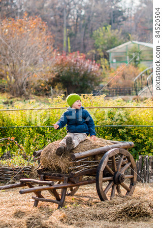 Old-fashioned little boy sitting at a vintage wooden carriage Old-fashioned little boy sitting at a vintage wooden carriage 84520504