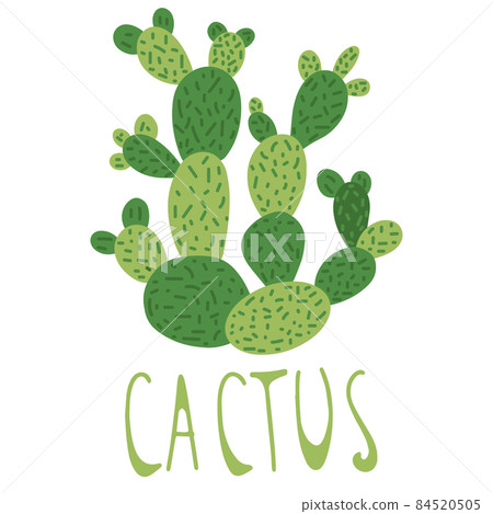 Hand drawn cactus, doodle style, isolated on a white background. Vector illustration Hand drawn cactus, doodle style, isolated on a white background. Vector illustration 84520505