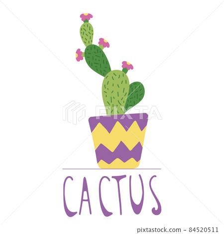 Hand drawn cactus in a colourful ceramic pot, doodle style, isolated on a white background. Vector illustration Hand drawn cactus in a colourful ceramic pot, doodle style, isolated on a white background. Vector illustration 84520511