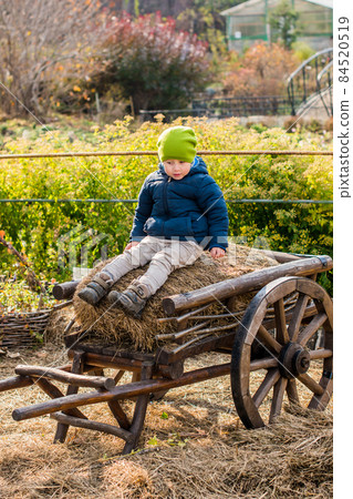 Old-fashioned little boy sitting at a vintage wooden carriage Old-fashioned little boy sitting at a vintage wooden carriage 84520519