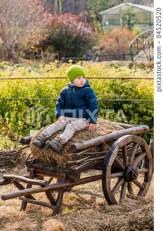 Old-fashioned little boy sitting at a vintage wooden carriage Old-fashioned little boy sitting at a vintage wooden carriage 84520520