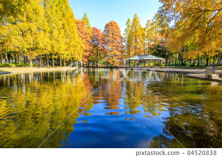 名古屋市熱田區秋季神宮東公園 名古屋市熱田區秋季神宮東公園 84520838
