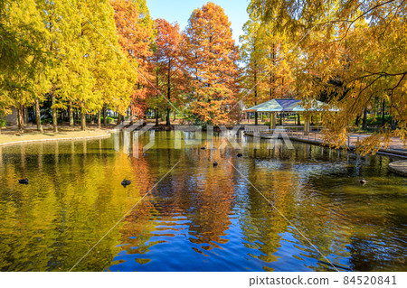 名古屋市熱田區秋季神宮東公園 84520841