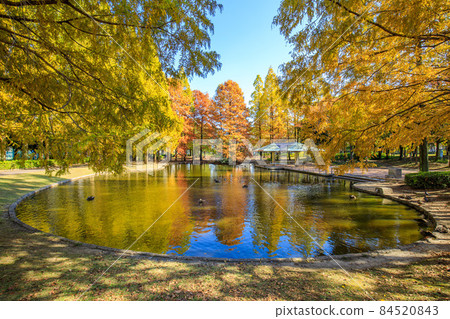 名古屋市熱田區秋季神宮東公園 84520843