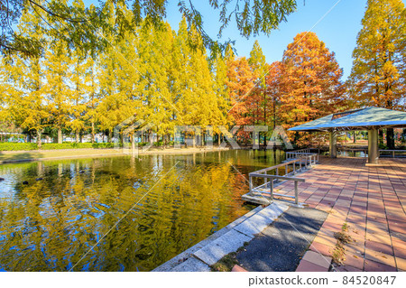 名古屋市熱田區秋季神宮東公園 84520847