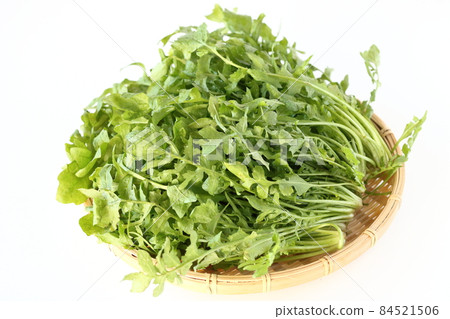 Nazuna spring of seven herbs 84521506