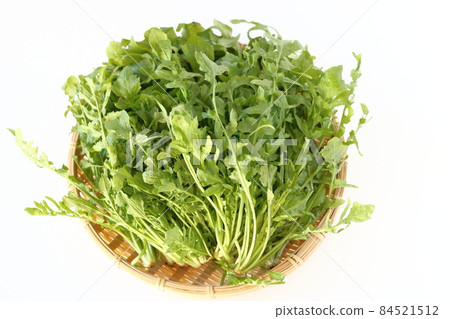 Nazuna spring of seven herbs 84521512