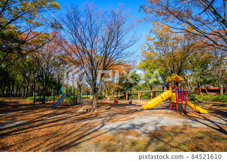 秋天在名古屋市熱田區神宮東公園的兒童遊樂設施 84521610