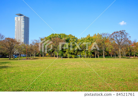 Atsuta-ku, Nagoya City Autumn Jingu Higashi Park Lawn Square 84521761