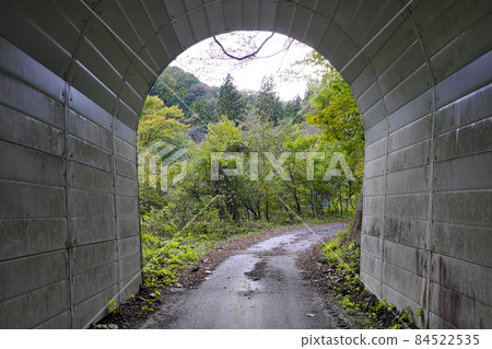 隧道出口 84522535