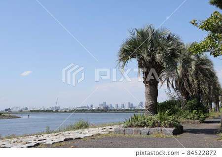 Scenery of Kasai Rinkai Park in Edogawa Ward, Tokyo 84522872