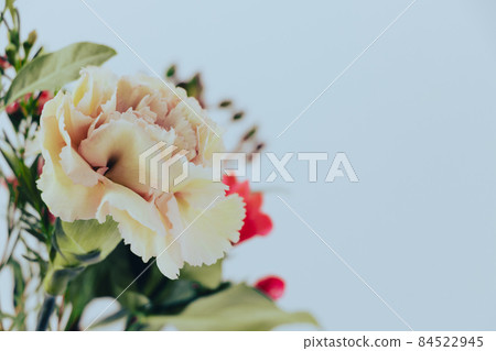 免費鮮花_聖誕色-4 免費鮮花_聖誕色-4 84522945