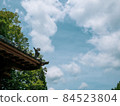 Kanebodo and the blue sky 84523804