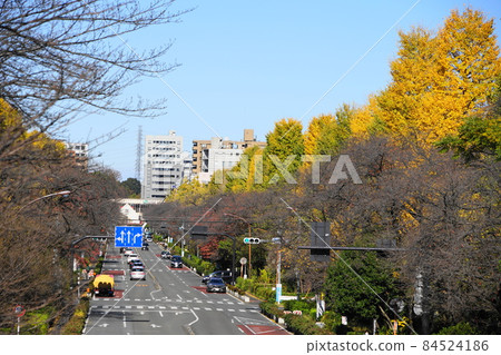 November: Kunitachi 80 National Station Building and Ginkgo (Ginkgo) Yellow Leaves / Daigaku Dori November: Kunitachi 80 National Station Building and Ginkgo (Ginkgo) Yellow Leaves / Daigaku Dori 84524186