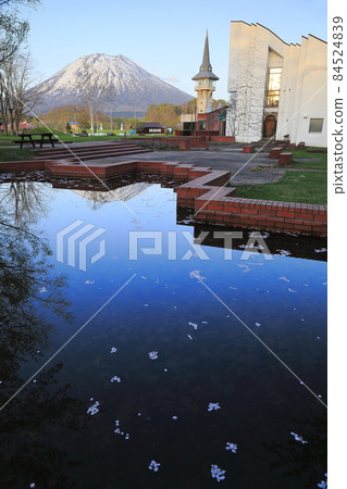 北海道二世谷町有島武雄紀念館的花筏和羊蹄山 北海道二世谷町有島武雄紀念館的花筏和羊蹄山 84524839