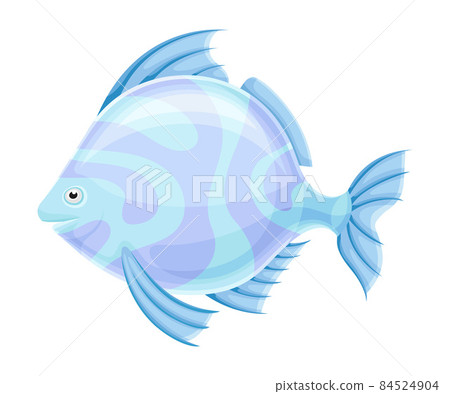 Marine tropical fish. Beautiful light blue exotic fish vector illustration 84524904