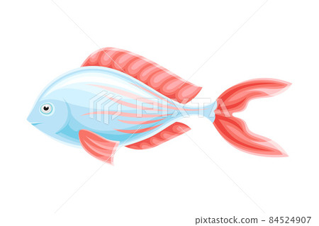 Marine tropical exotic light blue fish with red fins vector illustration 84524907