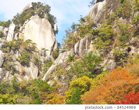 Autumn leaves in Shosenkyo, Yamanashi Prefecture, November 84524969