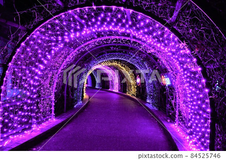 Kiso Sansen Park 138 Tower Park Illuminations 84525746