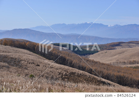 Raised bog, Kirigamine plateau, Nagano prefecture 84526124