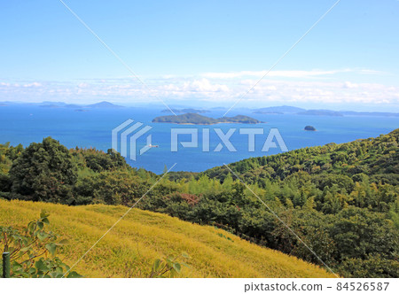 善逸山 善逸山 84526587