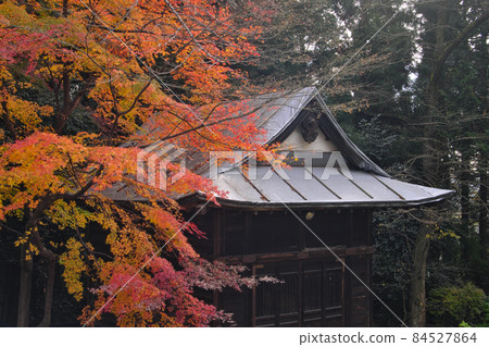 秋天的神社 秋天的神社 84527864