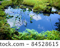 在池塘里的水彩 84528615