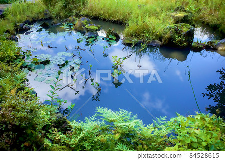 在池塘里的水彩 在池塘里的水彩 84528615