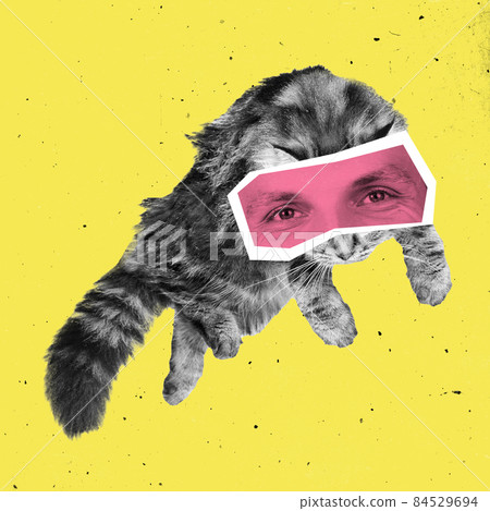 Contemporary art collage with black and white portrait of fluffy cat with male eyes isolated over yellow background. Animals with human emotions 84529694