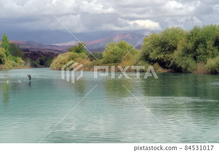 Swimming bird flies up amazing turquoise colored stream in beautiful landscape with trees and mountains. Picturesque mountain river landscape. Beautiful natural background for your design. Swimming bird flies up amazing turquoise colored stream in beautiful landscape with trees and mountains. Picturesque mountain river landscape. Beautiful natural background for your design. 84531017