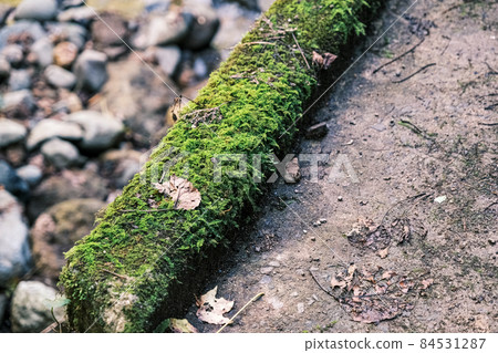 Roadside fence Roadside fence 84531287