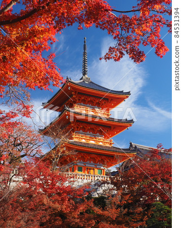清水寺秋葉三重塔 84531394