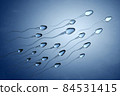 Illustration of sperm cells 84531415