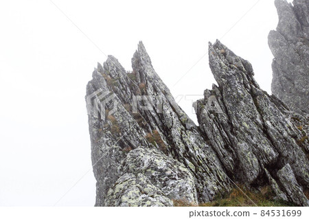 Rock formations covered by fog in the carpathian mountains 84531699