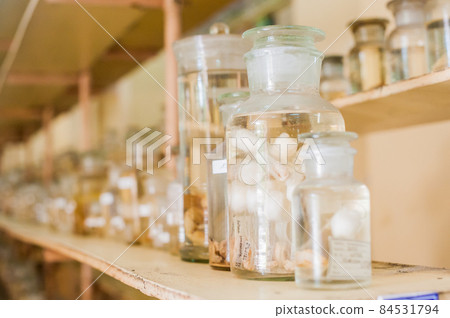 Marine animals preserved alcohol in glass tubes Marine animals preserved alcohol in glass tubes 84531794