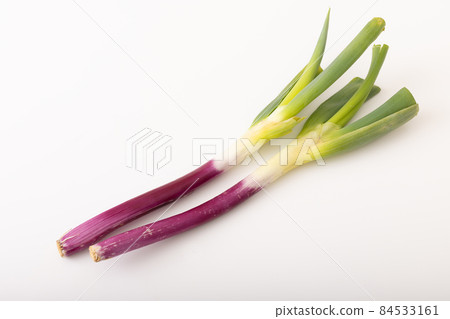 山形縣莊內縣紅洋蔥 84533161