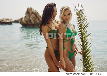 Beach Girls in Bikini With Palm Leaf During Summer Vacation Outdoors 84534310