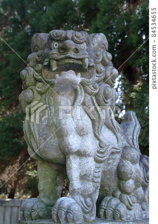 威嚴的守護犬(愛知縣名古屋市Harina神社) 威嚴的守護犬(愛知縣名古屋市Harina神社) 84534655
