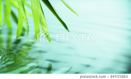 Spa and wellness background with water and leaves Spa and wellness background with water and leaves 84535863