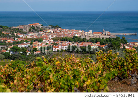 The amazing aerial view over Collioure from Fort Saint Elme surrounded by vineyards, Vermeille coast 84535941