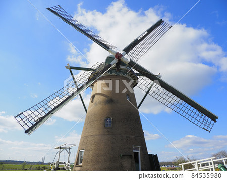 Sakura Furusato Square, Chiba Prefecture Windmills and Cosmos 84535980