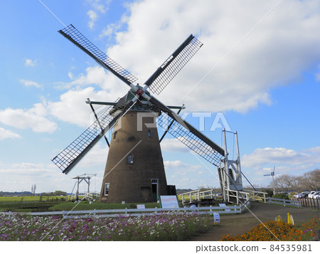 Sakura Furusato Square, Chiba Prefecture Windmills and Cosmos 84535981