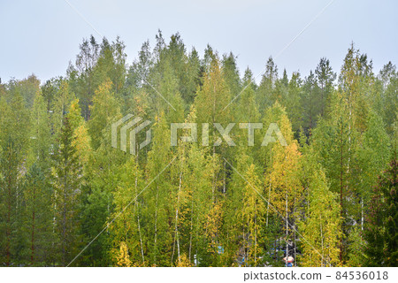 A former marble quarry in Ruskeala Mountain Park filled with groundwater and surrounded by an autumn forest A former marble quarry in Ruskeala Mountain Park filled with groundwater and surrounded by an autumn forest 84536018