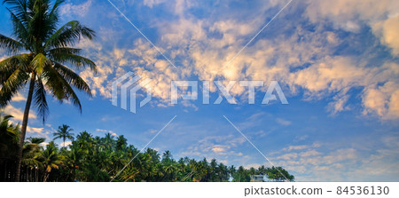 Silhouette of a palm tree against the sunset sky. Wide photo. Silhouette of a palm tree against the sunset sky. Wide photo. 84536130