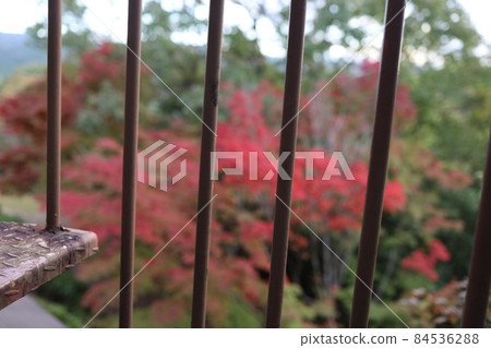 Autumn leaves can be seen from the climbing stairs Autumn leaves can be seen from the climbing stairs 84536288