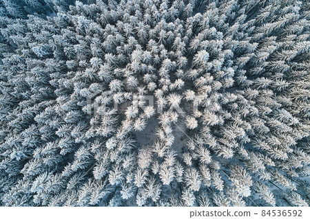 Top down aerial view of snow covered evergreen pine forest after heavy snowfall in winter mountain woods on cold quiet day. Top down aerial view of snow covered evergreen pine forest after heavy snowfall in winter mountain woods on cold quiet day. 84536592