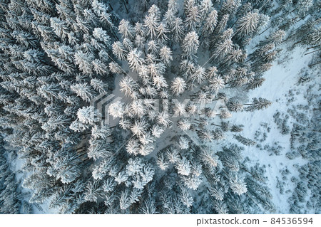 Top down aerial view of snow covered evergreen pine forest after heavy snowfall in winter mountain woods on cold quiet day. Top down aerial view of snow covered evergreen pine forest after heavy snowfall in winter mountain woods on cold quiet day. 84536594