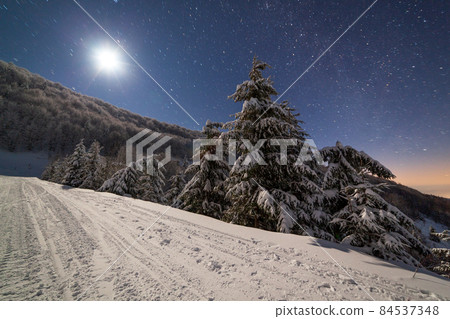 The majestic starry sky over the winter mountain landscape. Night scene. Wonderful tall fir trees with moonlight. Carpathians, Ukraine, Europe. 84537348