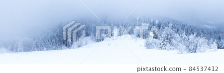 Winter weather with snowdrifts and fog in the mountain spruce forest. Trees curved under the weight of snow Winter weather with snowdrifts and fog in the mountain spruce forest. Trees curved under the weight of snow 84537412